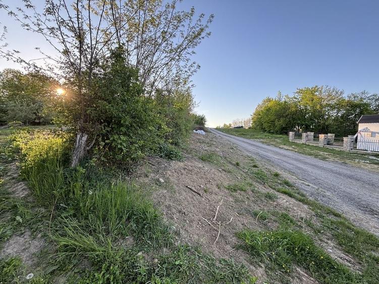 Teren de 1295 mp, în Țerova