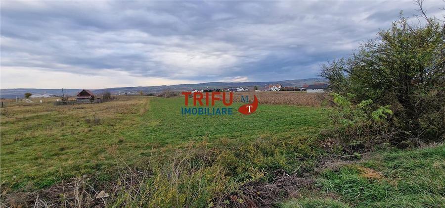 Teren Construcții intravilan de 2160 mp, în Partoș