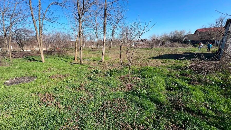 Vand teren intravilan in Giurgiu - 4