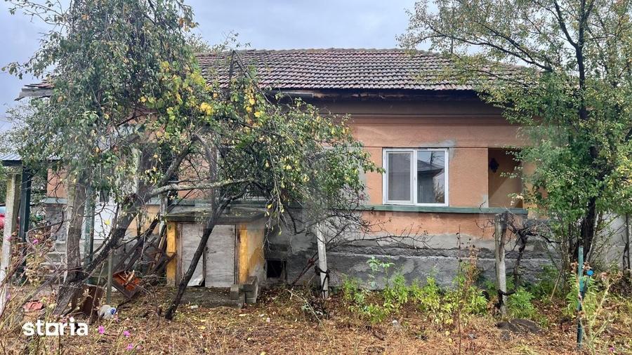 Teren de 5000 mp, în Rovine