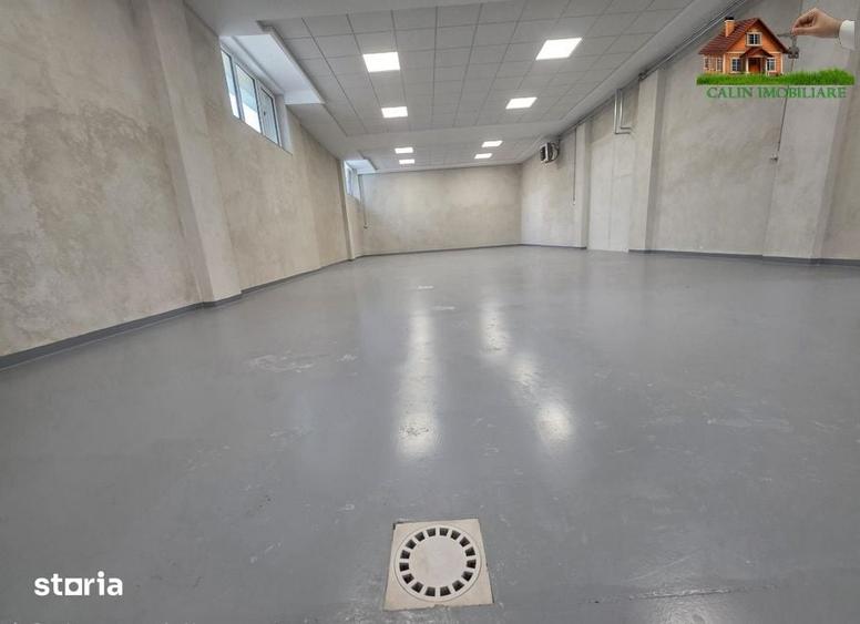 HALA CATERING Procesare Alimente PHARMA 333mp Curte 250mp VALEA LUPULU - 1