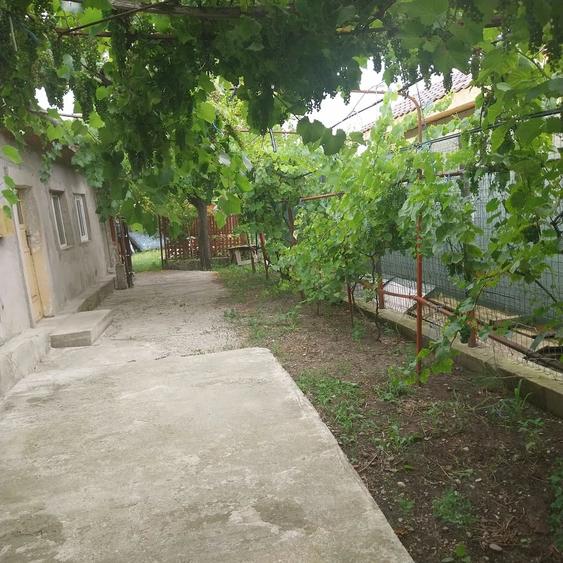 Casă cu 3 camere cu Teren 500 Mp în Central