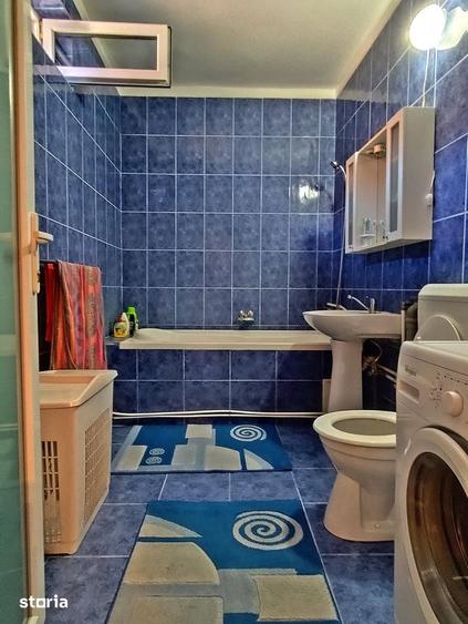 Casa la tara in Sacadat, Bihor, teren 2826 mp, acces auto - Vanzare - 10