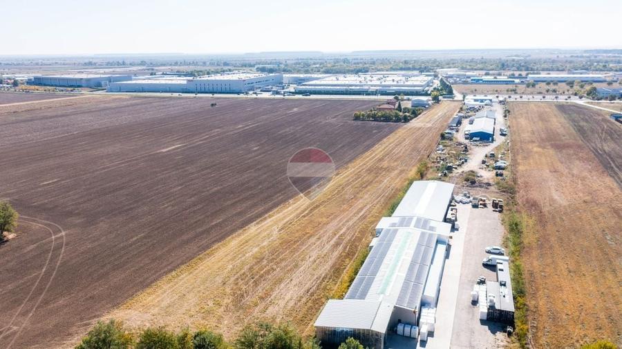 Teren Construcții intravilan de 10000 mp, în Brănești