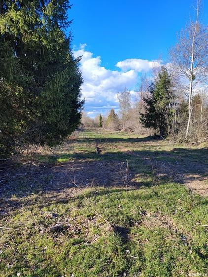 Teren de 2100 mp, în Central
