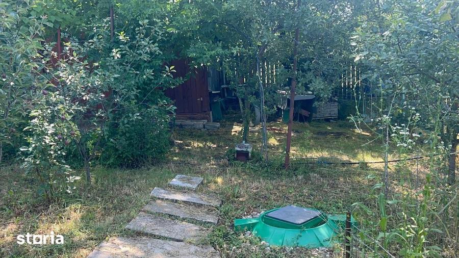 Casa de vacan?a cu 3 camere ?i curte mare - 10