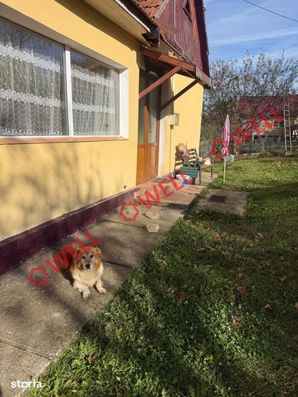 Casă cu Teren 4831 Mp în Bran