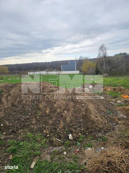 Casă cu 5 camere cu Teren 6000 Mp în Burla