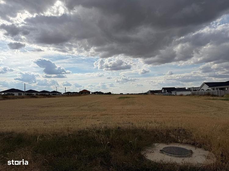 Teren intravilan 10.000 mp Santandrei | Toate utilitatile - 1