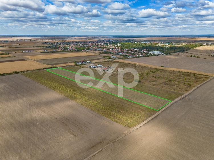Teren agricol intravilan de 23000 mp, în Buziaș