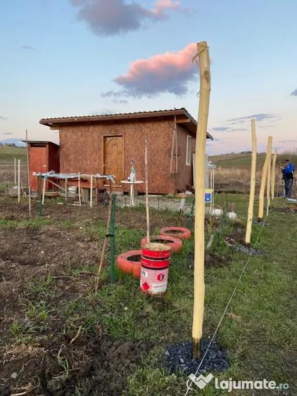 Teren de 1000 mp, în Sigmir