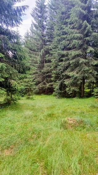 Teren intravilan de 1370 mp, în Băișoara