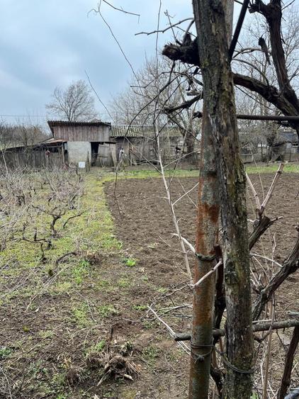 Casa de vanzare - Giurgiu - 3