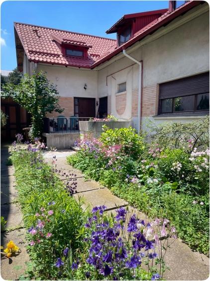 Casă individuală cu 10 camere cu Canalizare în Cotroceni