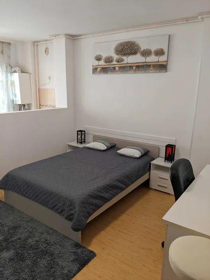 Garsoniera, criculara, 40 mp, centrala proprie, ac, balcon, complex Primavara - 2