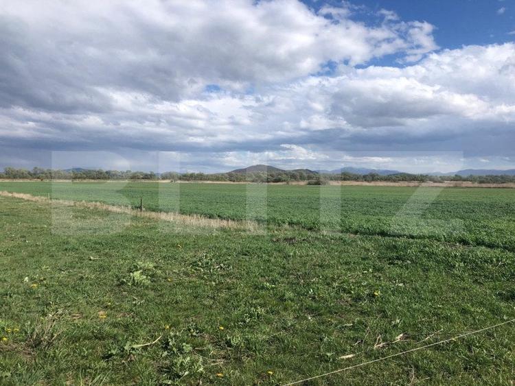 Teren agricol extravilan de 50000 mp, în Bod
