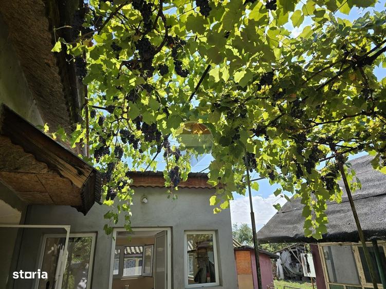 Casă cu 3 camere în Brâncoveanu