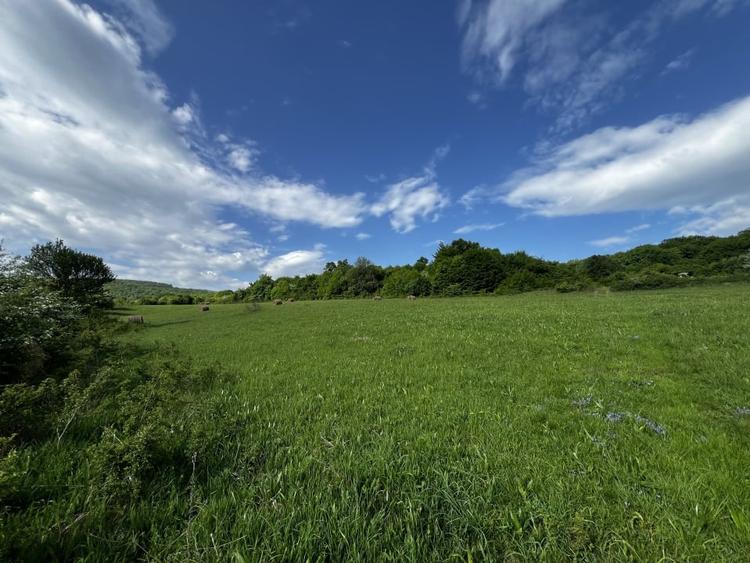 Teren Construcții intravilan de 3800 mp, în Florești