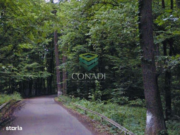 Teren de 12135 mp, în Snagov
