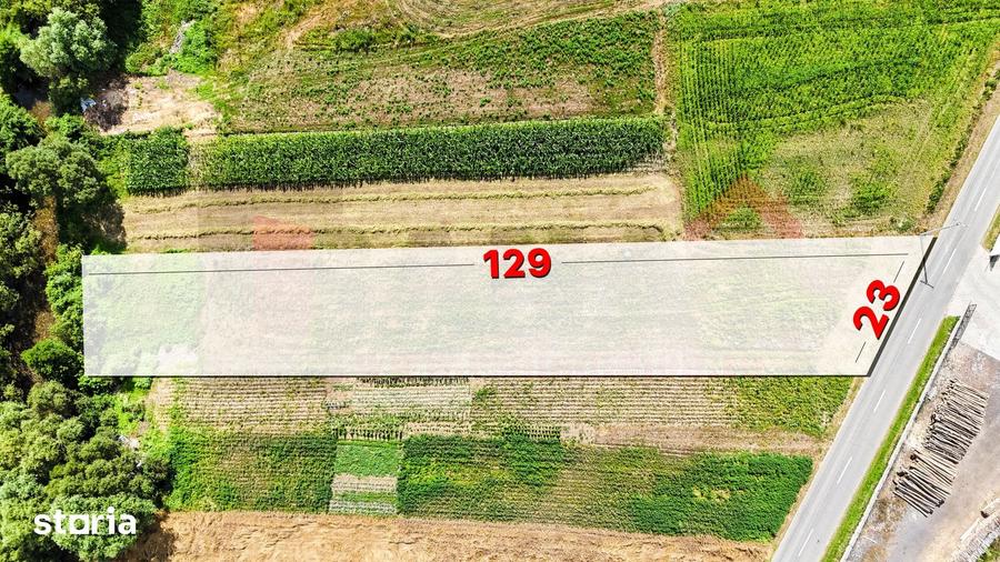Teren de 2374 mp, în Sadu