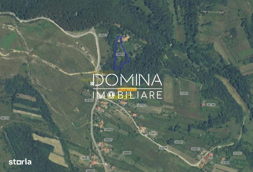 Spațiu comercial, în Mușetești