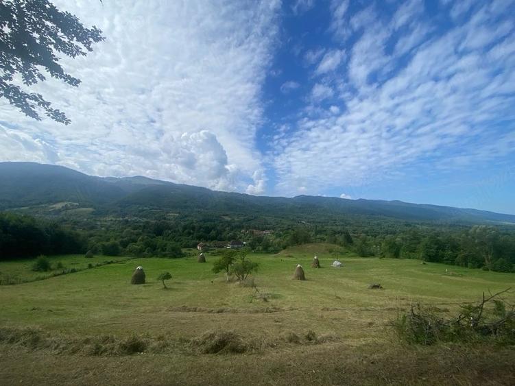 Teren de 33070 mp, în Bucova