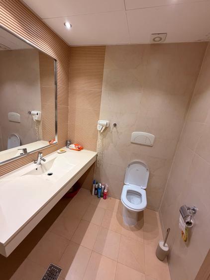 Studio de inchiriat-Bucuresti - 3