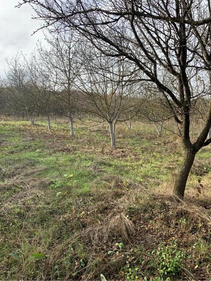 Teren de 4300 mp, în Vest