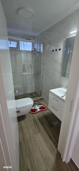 Apartament 2 camere Centru Ferdinand - Traian - 4