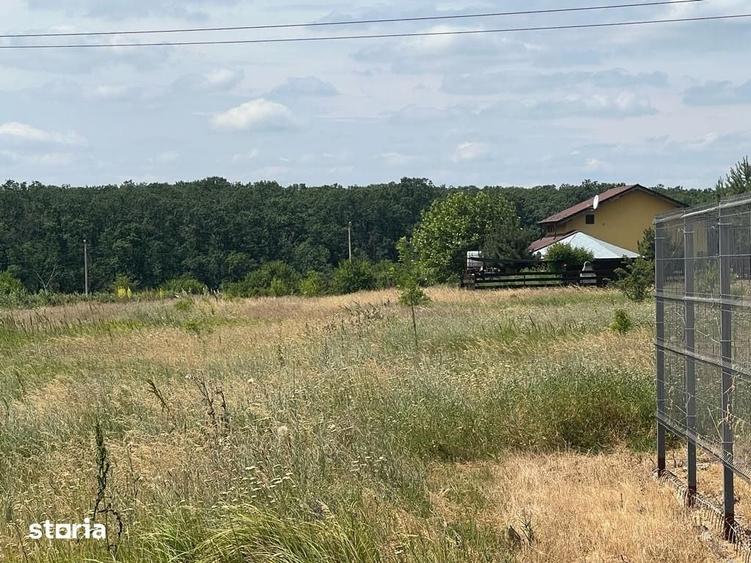 Vand Teren intravilan Branesti Str Violetelor 1036mp direct proprietar - 7