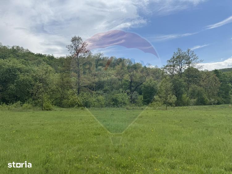 Casă cu 4 camere cu Teren 57600 Mp în Zimbor
