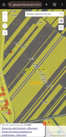 Teren de 11100 mp, în Roznov