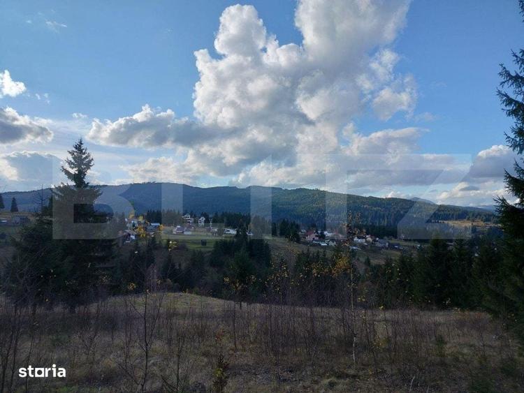 Spațiu comercial, în Cozănești