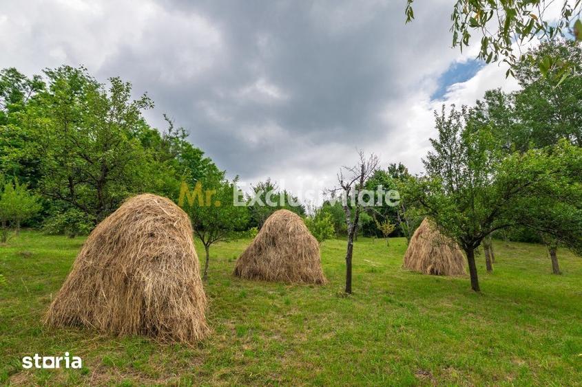 Casă cu 3 camere cu Teren 6290 Mp în Corbi