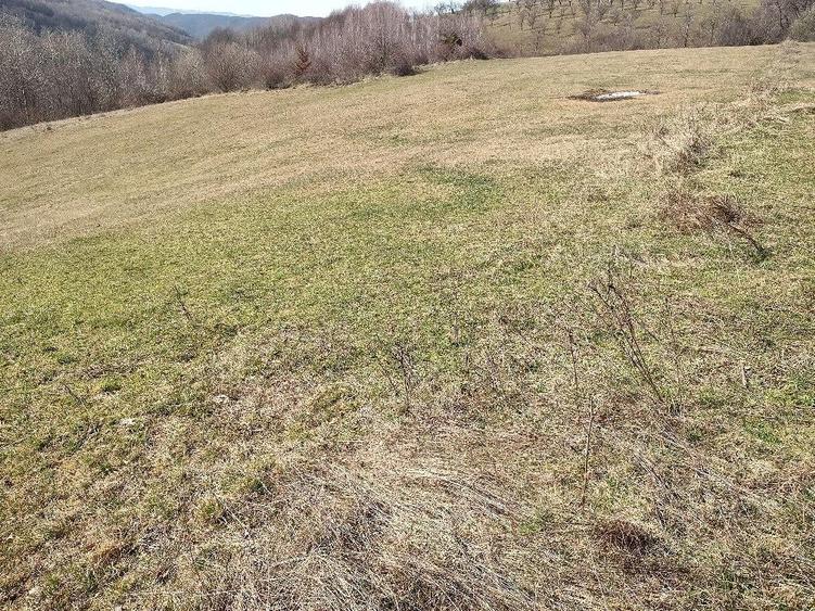Teren de 4200 mp, în Bucea