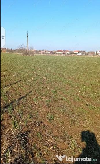 De vanzare urgent & negociabil teren 2500m in Ghermanesti Ilfov - 1