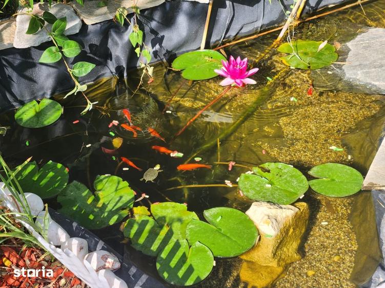 Casă cu 4 camere cu Teren 420 Mp în Berceni