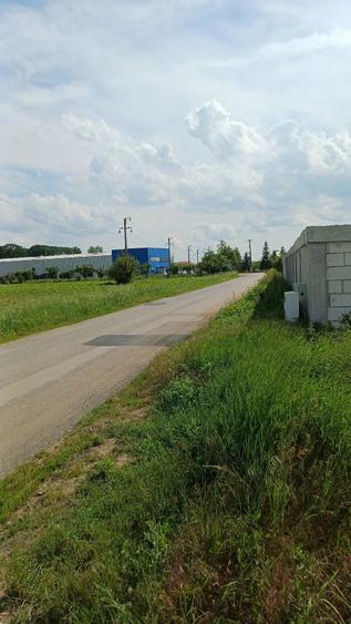 Teren de 3000 mp, în Ciolpani