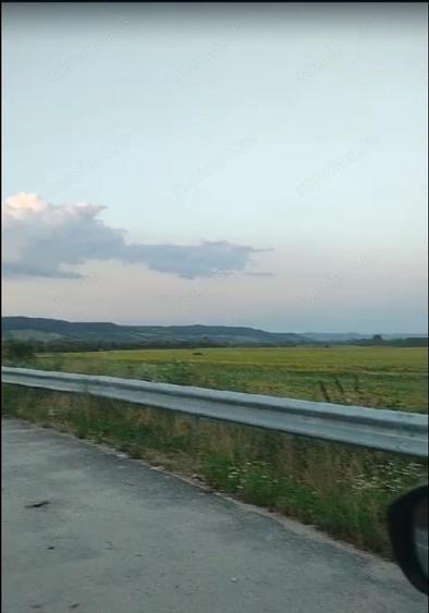 Teren de 500000 mp, în Borăscu