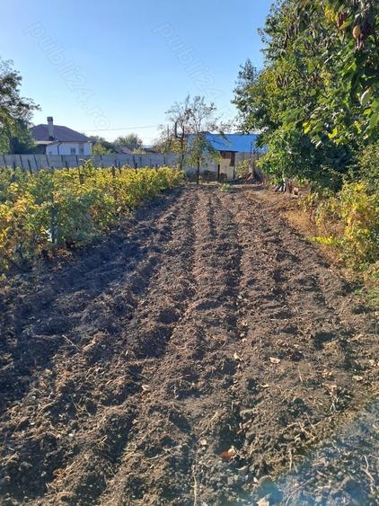 Casă cu 3 camere cu Teren 1354 Mp în Segarcea
