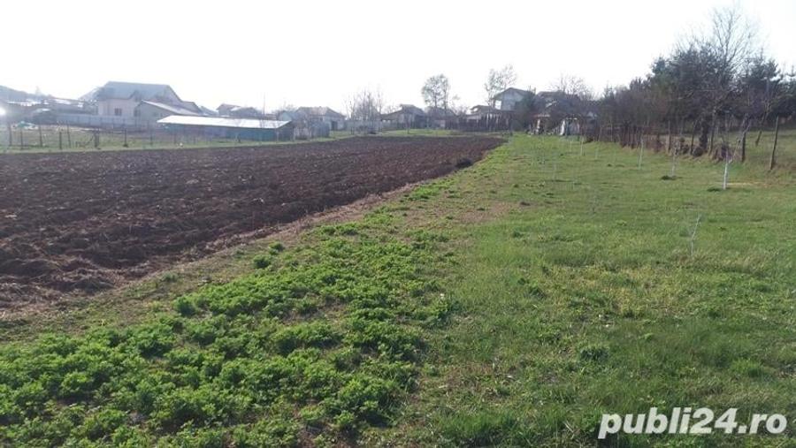 Teren de 2200 mp, în Central
