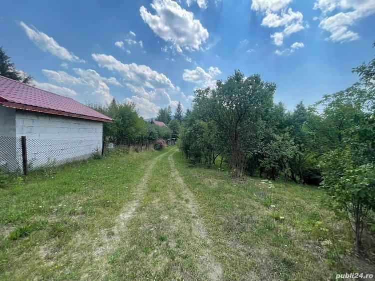 Teren de 4534 mp, în Câmpu lui Neag