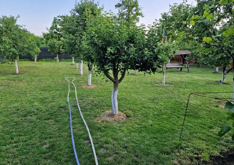 Casă cu Teren 1200 Mp în Schela