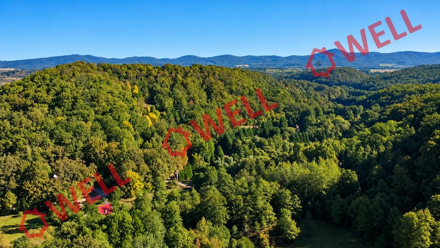 Teren extravilan de 16800 mp, în Bățanii Mici