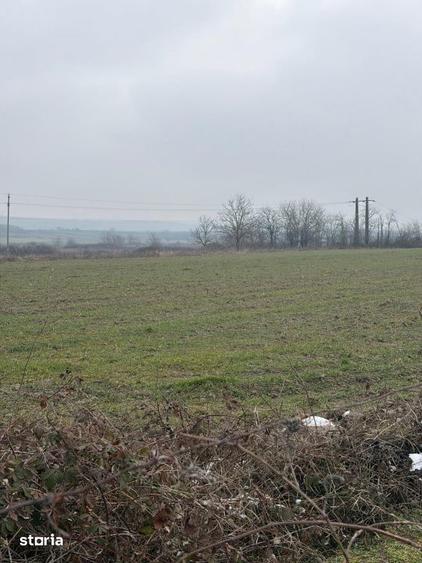 Teren de 9000 mp, în Central