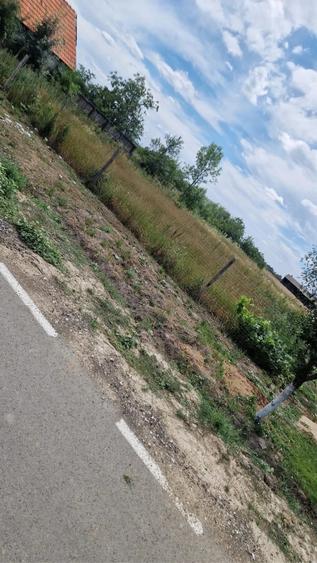 Teren de 1409 mp, în Cermei