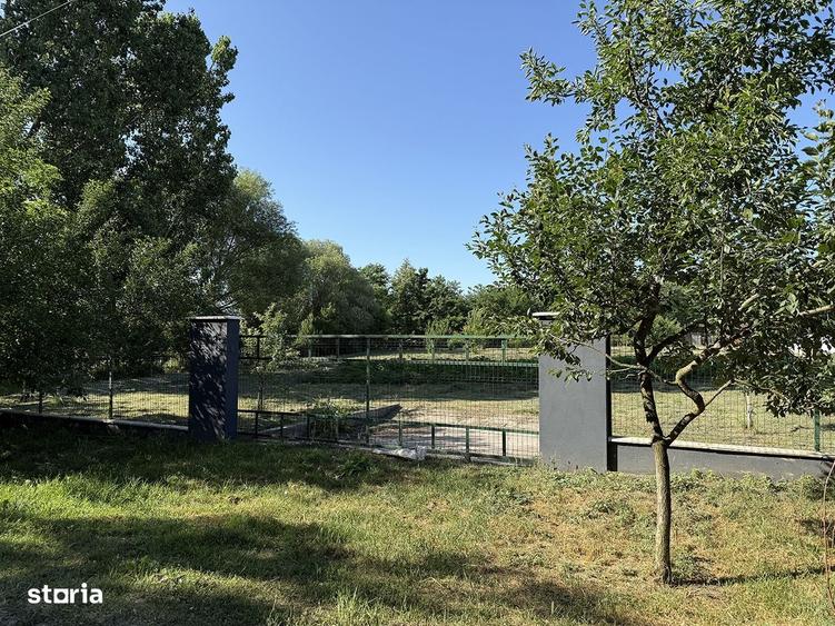 Catun / Ferma autorizata Tip A pentru crtesterea porcilor - IMOBIHOR - 1