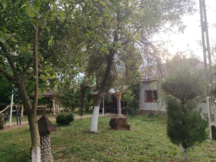 Casă cu 4 camere în Urvișu de Beliu