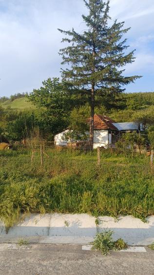 Teren de 10639 mp, în Central