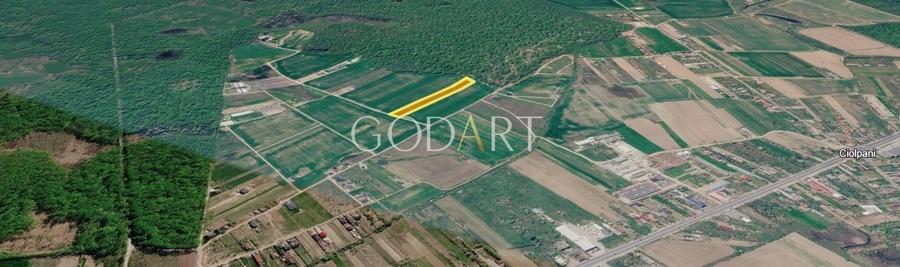 Teren agricol intravilan de 10000 mp, în Ciolpani
